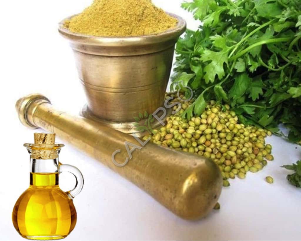Buy Pure Coriander Seed Essential Oil